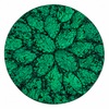 Mother of Pearl Green 18" Revolving Tray